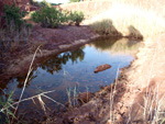 Cantera el Moresno. La Alcoraia. Alicante