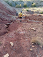   Cantera el Moresno. La Alcoraia. Alicante