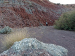   Cantera el Moresno. La Alcoraia. Alicante