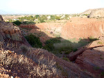   Cantera el Moresno. La Alcoraia. Alicante