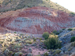   Cantera el Moresno. La Alcoraia. Alicante