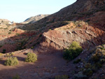   Cantera el Moresno. La Alcoraia. Alicante