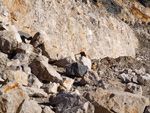   Cantera de Áridos de Holcin. Busot. Alicante