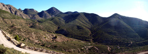 Cantera el Moresno. La Alcoraia. Alicante