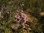   Cantera de Áridos de Sodira. Busot. Alicante