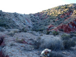 Cantera de Áridos Sodira. Busot. Alicante