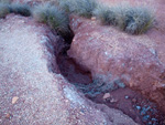 Grupo Mineralógico de Alicante.  Cantera de Áridos Sodira. Busot. Alicante 