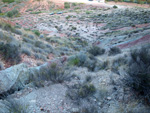    Afloramiento de Aragonitos, Loma Badá. Petrer Alicante