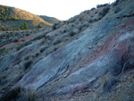    Afloramiento de Aragonitos, Loma Badá. Petrer Alicante