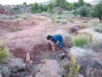   Afloramiento de Aragonitos, Loma Badá. Petrer Alicante