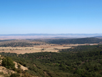   Calcita.Cantera de Áridos de Holcin. Busot. Alicante