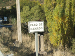 Mina Nuria. Explotación de Caolín. Poveda de la Sierra. Guadalajara