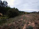 Afloramiento de Piritas. Barracas. Castellón