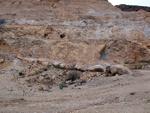   Cantera de Áridos de Sodira. Busot. Alicante