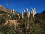   Cantera de Áridos de Sodira. Busot. Alicante