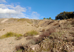 Grupo Mineralógico de Alicante.  Minas de carbón de Puertollano, Mina Emma, instalaciones, escombreras y central Térmica y Minas del Horcajo, Almodóvar del campo, Ciudad Real 