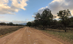 Minas de carbón de Puertollano, Mina Emma, instalaciones, escombreras y central Térmica y Minas del Horcajo, Almodóvar del campo, Ciudad Real