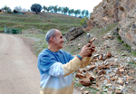   Minas de carbón de Puertollano, Mina Emma, instalaciones, escombreras y central Térmica y Minas del Horcajo, Almodóvar del campo, Ciudad Real