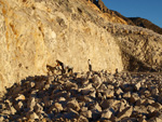 Cantera de Áridos Sodira. Busot. Alicante