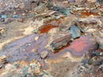 Grupo Mineralógico de Alicante.  Corta Brunita y alrededores 