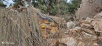    Cantera de Áridos de Holcin. Busot. Alicante