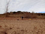 Yacimiento de cuarzo Rosa. Embalse de Palmaces, Guadalajara