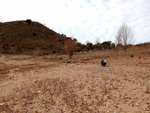 Yacimiento de cuarzo Rosa. Embalse de Palmaces, Guadalajara