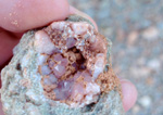 Grupo Mineralógico de Alicante.  Yacimiento de cuarzo Rosa. Embalse de Palmaces, Guadalajara 