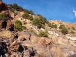 San Valentín. Sierra Minera de Cartagena La Unión. Murcia