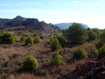 Grupo Mineralógico de Alicante.  San Valentín. Sierra Minera de Cartagena La Unión. Murcia 