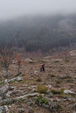 Grupo Mineralógico de Alicante.  Recorrido por yacimientos de Madrid 