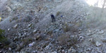 Grupo Mineralógico de Alicante.  Cantera Barranco de la Mola. Sierra de Olta. Calpe. Alicante 