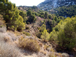   Cantera Barranco de la Mola. Sierra de Olta. Calpe. Alicante