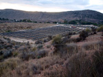 Grupo Mineralógico de Alicante.  Afloramiento de Aragonito. Loma Bada. Petrer. Alicante 