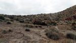 Grupo Mineralógico de Alicante.  Afloramiento de Aragonito. Loma Bada. Petrer. Alicante 