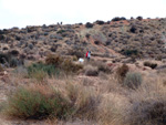 Grupo Mineralógico de Alicante.  Afloramiento de Aragonito. Loma Bada. Petrer. Alicante 