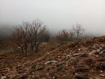 Puerto del Cardoso,Montejo de la sierra, Sierra del Rincón, Madrid