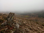 Puerto del Cardoso,Montejo de la sierra, Sierra del Rincón, Madrid