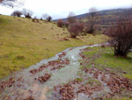 Puerto del Cardoso,Montejo de la sierra, Sierra del Rincón, Madrid