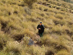 Cantera de Áridos Sodira. Busot. Alicante