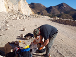 Grupo Mineralógico de Alicante.  Cantera de Áridos Sodira. Busot. Alicante 