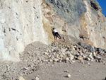 Grupo Mineralógico de Alicante.  Cantera de Áridos Sodira. Busot. Alicante 