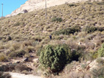   Cantera de Áridos Sodira. Busot. Alicante