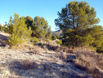 Afloramiento de marcasitas, Rambla en finca La Canyaeta Blanca, Agost, Alicante