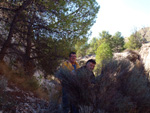   Afloramiento de marcasitas, Rambla en finca La Canyaeta Blanca, Agost, Alicante