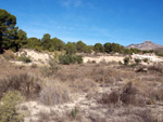   Afloramiento de marcasitas, Rambla en finca La Canyaeta Blanca, Agost, Alicante