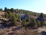    Afloramiento de marcasitas, Rambla en finca La Canyaeta Blanca, Agost, Alicante