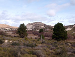   Calcita. Cantera de Áridos de Sodira. Busot. Alicante