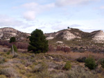   Calcita. Cantera de Áridos de Sodira. Busot. Alicante