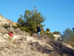 Afloramiento de marcasitas, Rambla en finca La Canyaeta Blanca, Agost, Alicante